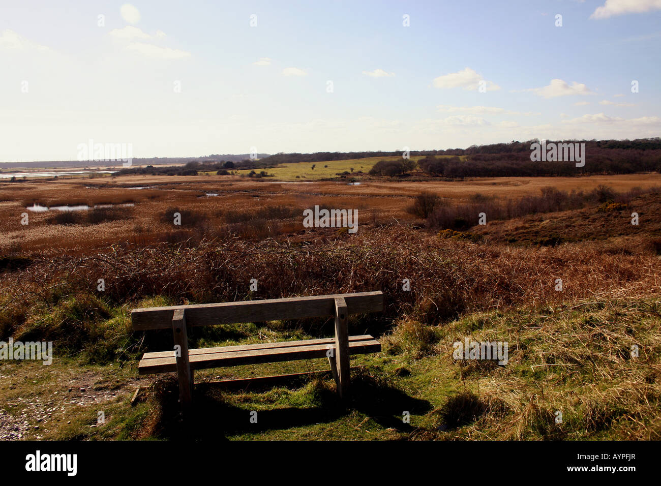 MINSMERE WILDLIFE R.S.P.B. Riserva dalla DUNWICH HEATH IN PRIMAVERA. SUFFOLK. In Inghilterra. Foto Stock