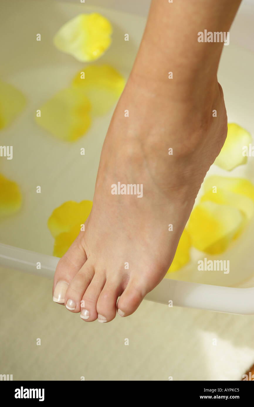Elevato angolo di visione della donna piede sopra una vasca da bagno di petali gialli e acqua Foto Stock
