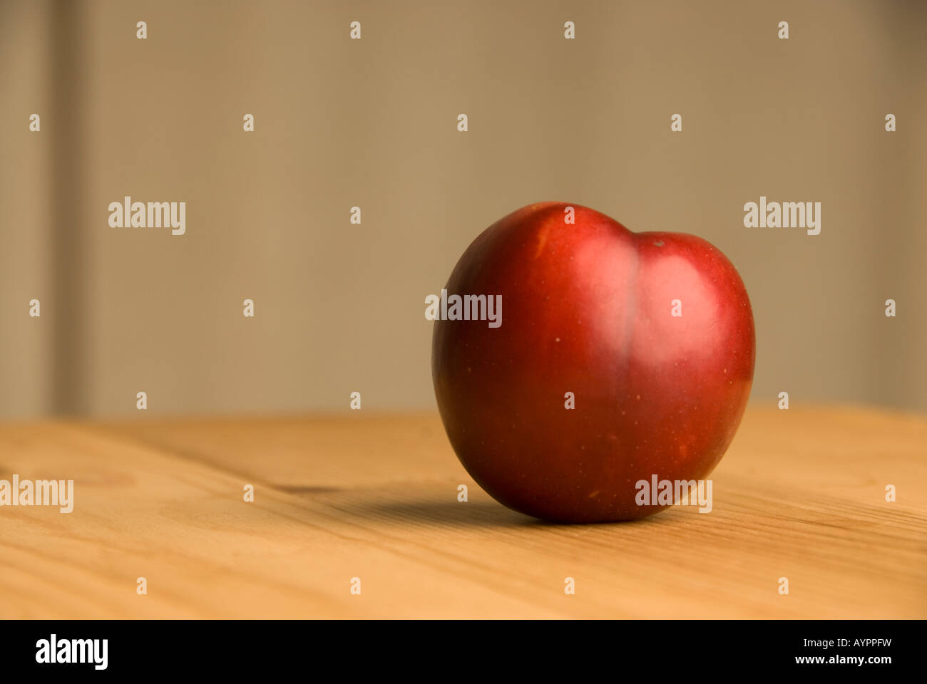 Rosso di prugna sulla tavola di pino Foto Stock