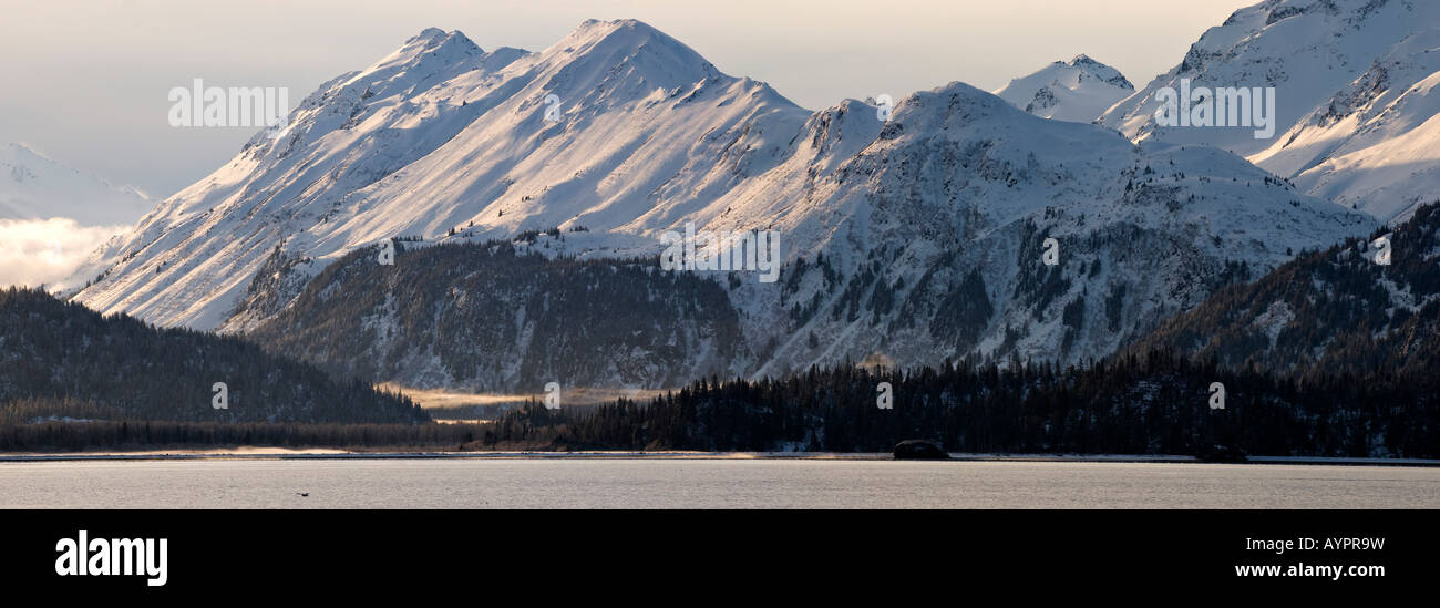 Panoramica di Kachemak Bay State Park, Penisola di Kenai, Alaska, STATI UNITI D'AMERICA Foto Stock