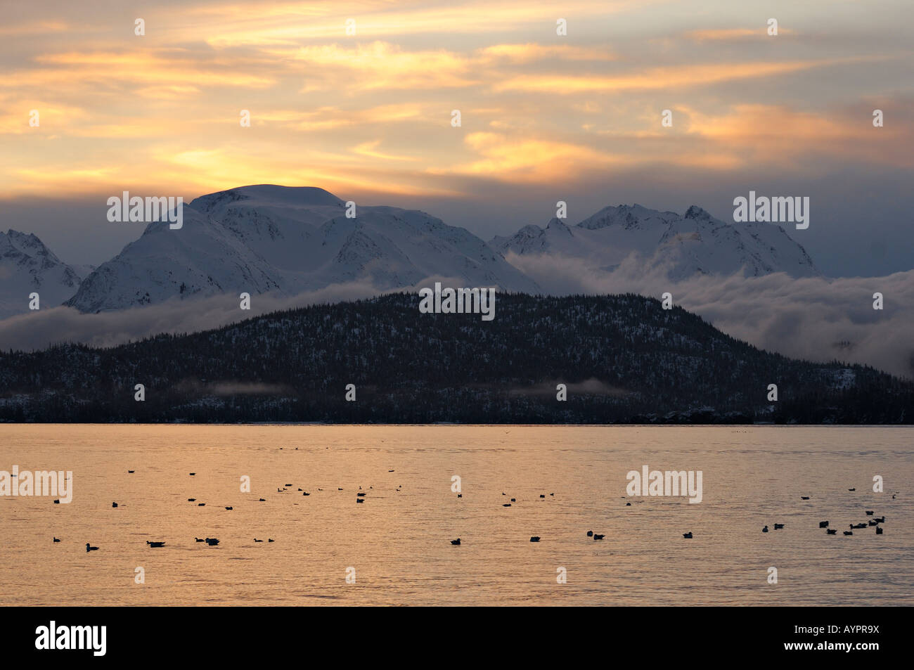 Sunrise a Kachemak Bay State Park, Penisola di Kenai, Alaska, STATI UNITI D'AMERICA Foto Stock