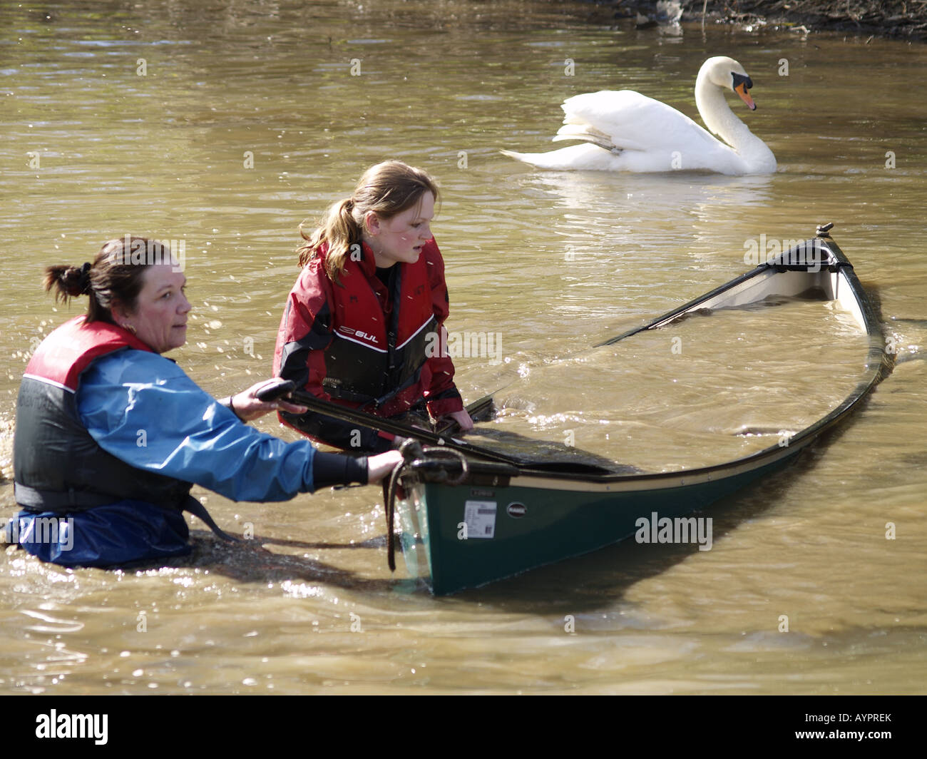 Barca piena di acqua dopo essere ribaltati dal swan quando sono arrivati vicino al suo nido Foto Stock