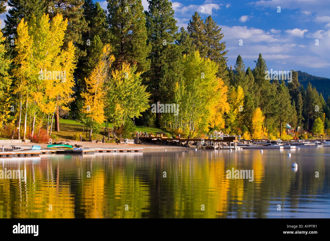 Idaho McCall il colorato con la riva del lago Payette in autunno mostra off riflessi drammatici Foto Stock