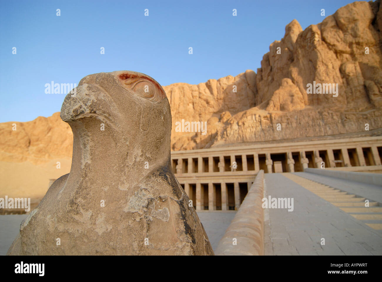 Statua di Horus rappresentato come un falco sulla terza storia del tempio mortuario della Regina Hatshepsut, Deir El-Bahari, Luxor, E Foto Stock