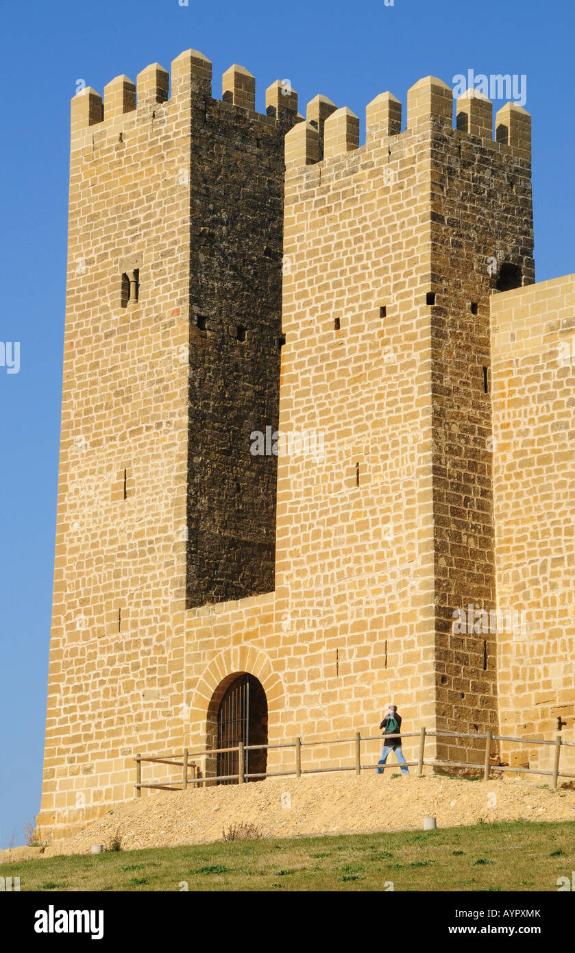 Duecentesco castello Franco-Gothic, Sábada, provincia di Zaragoza, Aragona, Spagna, Europa Foto Stock