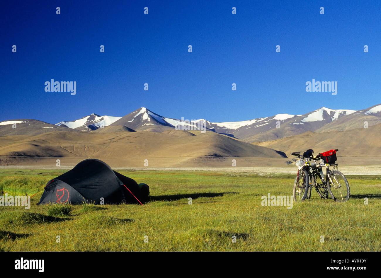 Due mountain bike accanto a una tenda, coperte di erba plateau e cime innevate, elevazione oltre 4900 metri, Himalaya, Ladakh, Foto Stock