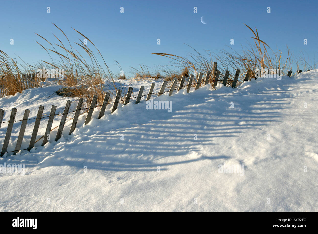 Recinzione di neve su una duna di sabbia quasi coperte di neve in inverno Foto Stock