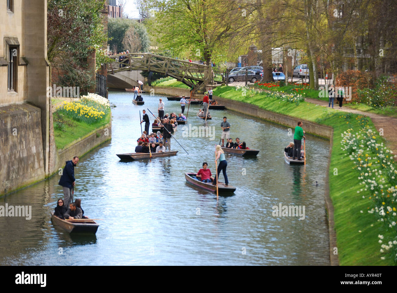 Gli studenti punting sul fiume Cam, Cambridge, Cambridgeshire, England, Regno Unito Foto Stock