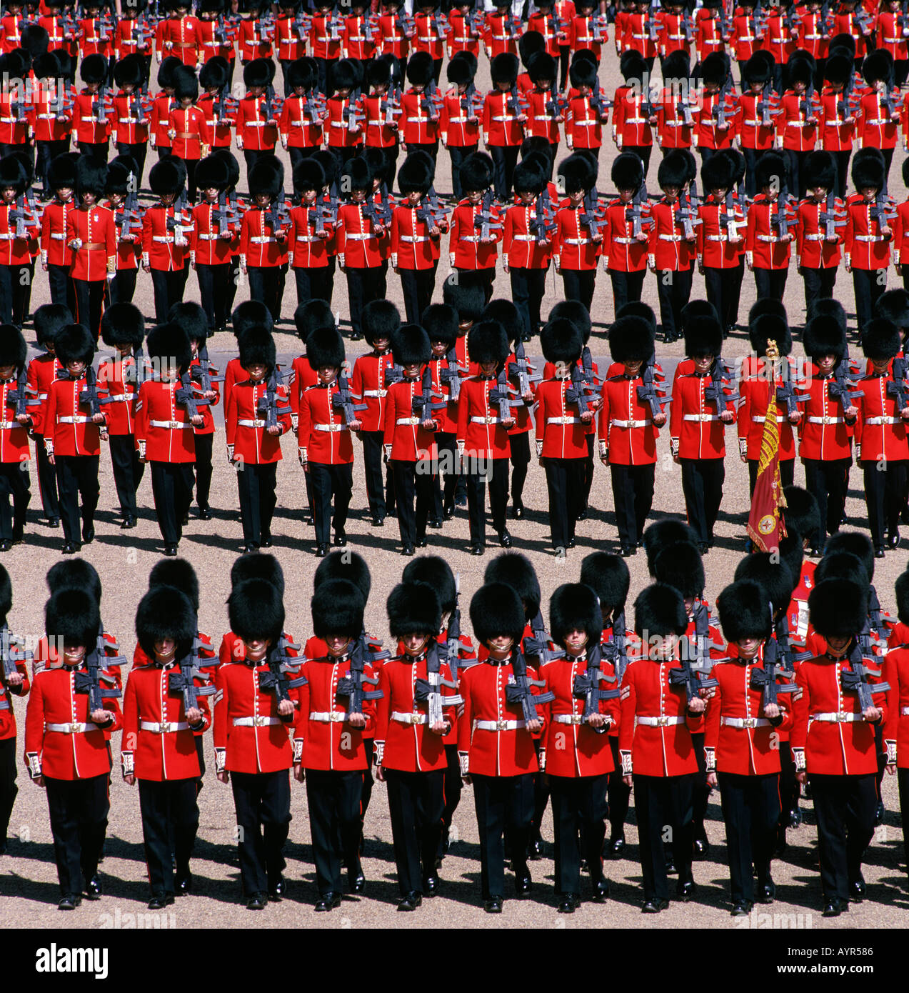 Granatiere guardie all'Trooping delle regine di colore a Horseguards Parade London Foto Stock