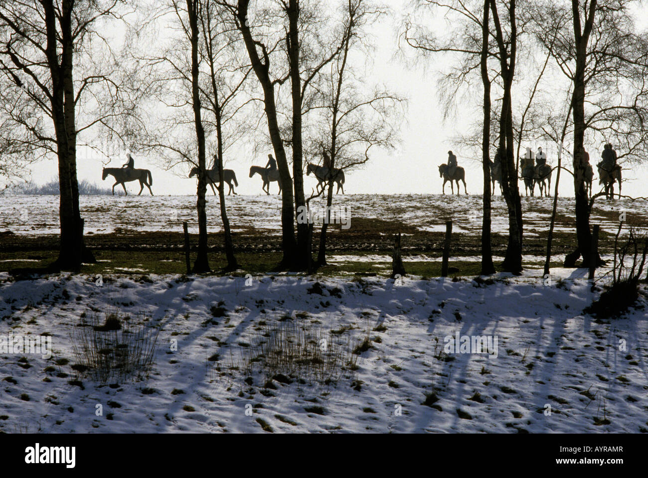 Una linea di cavalli di corsa da McMahon maneggio, Lichfield, Staffordshire, esercitando su di un inverno congelate del giorno Foto Stock