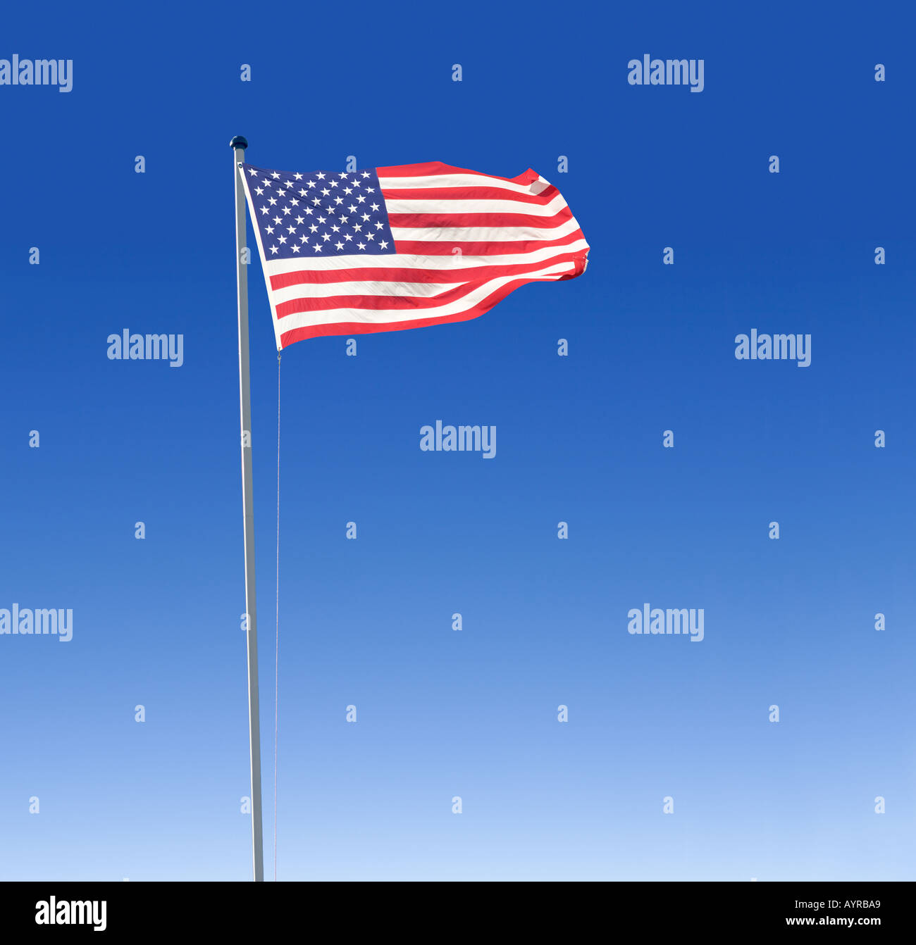 Bandiera americana sventola Foto Stock