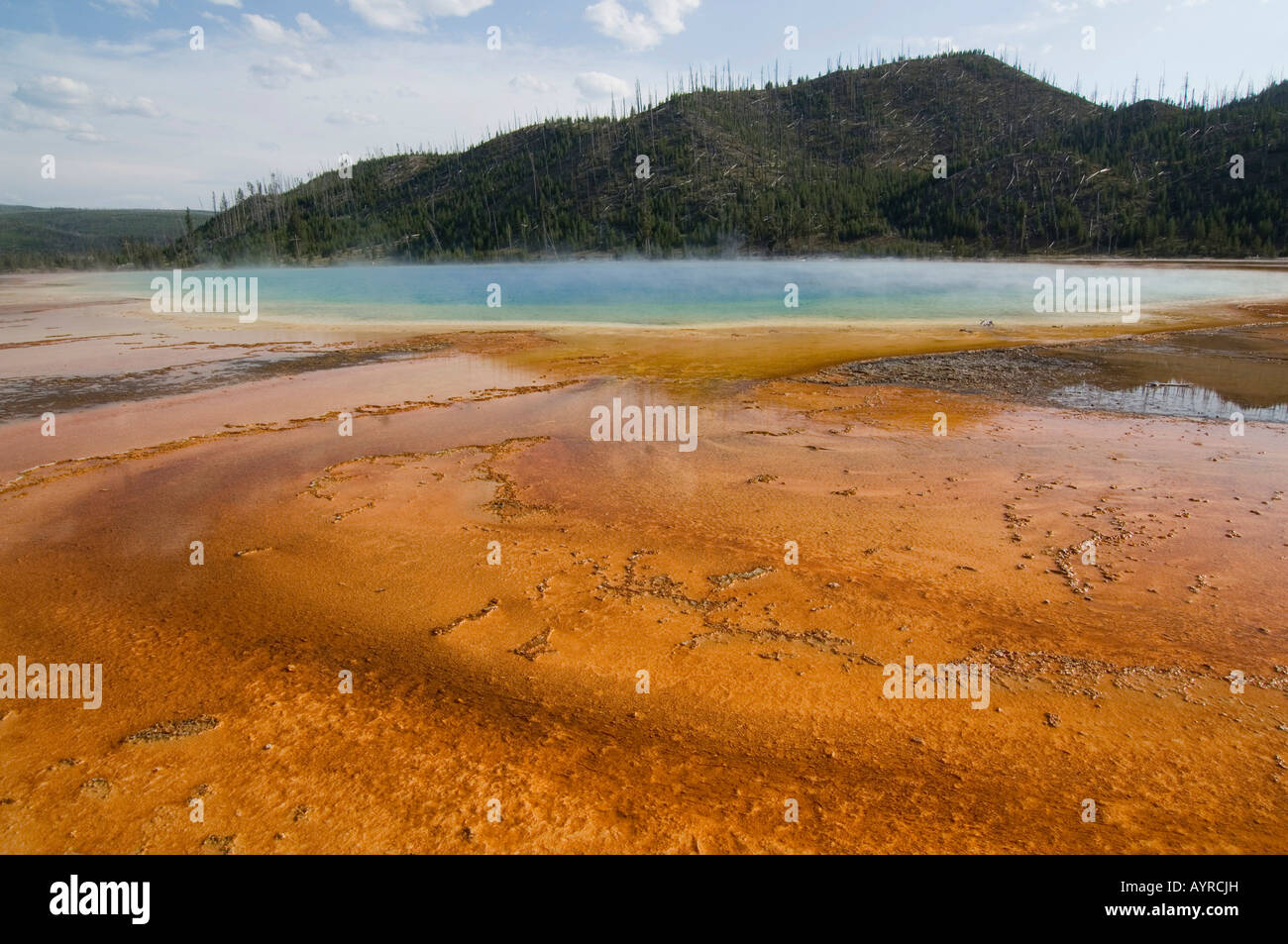 Grand Prismatic Spring in Midway Geyser Basin, il Parco Nazionale di Yellowstone, Wyoming USA Foto Stock