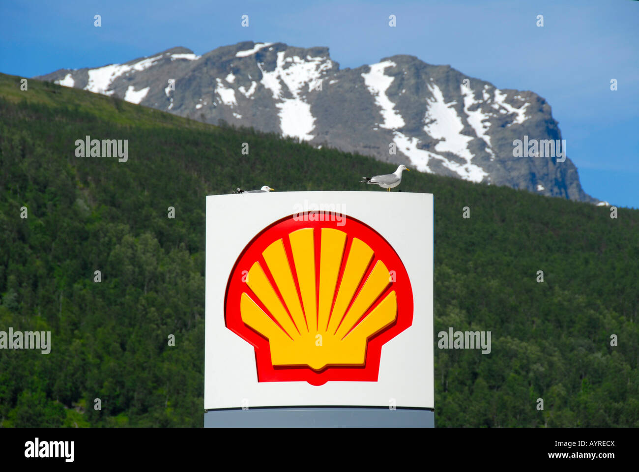 Logo del guscio in corrispondenza di una stazione di benzina, montagne, Lapponia, Norvegia Foto Stock