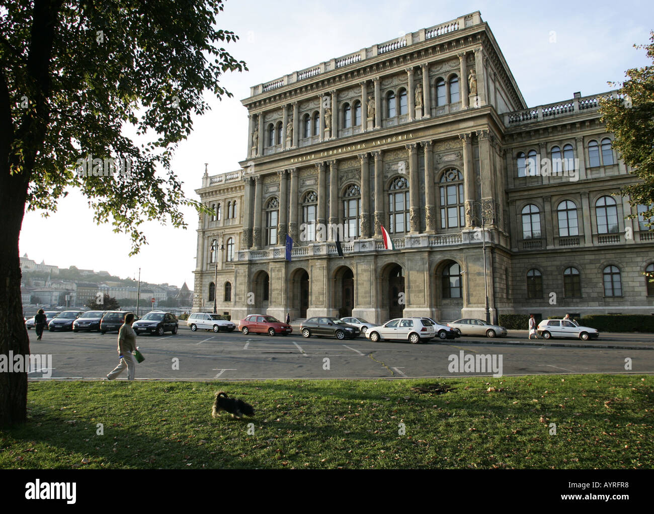 Ungherese Accademia Nazionale delle Scienze di Budapest. Foto Stock
