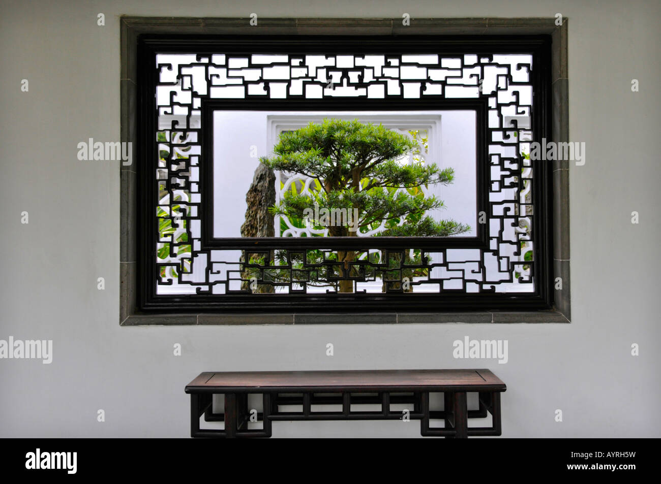 Albero di Bonsai giardino in cinese e giardini giapponesi in Singapore Foto Stock