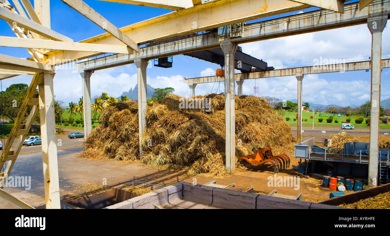 Mauritius - enormi Gru e paranchi di sollevamento sono usati per trasferire la canna da zucchero per i frantoi Foto Stock