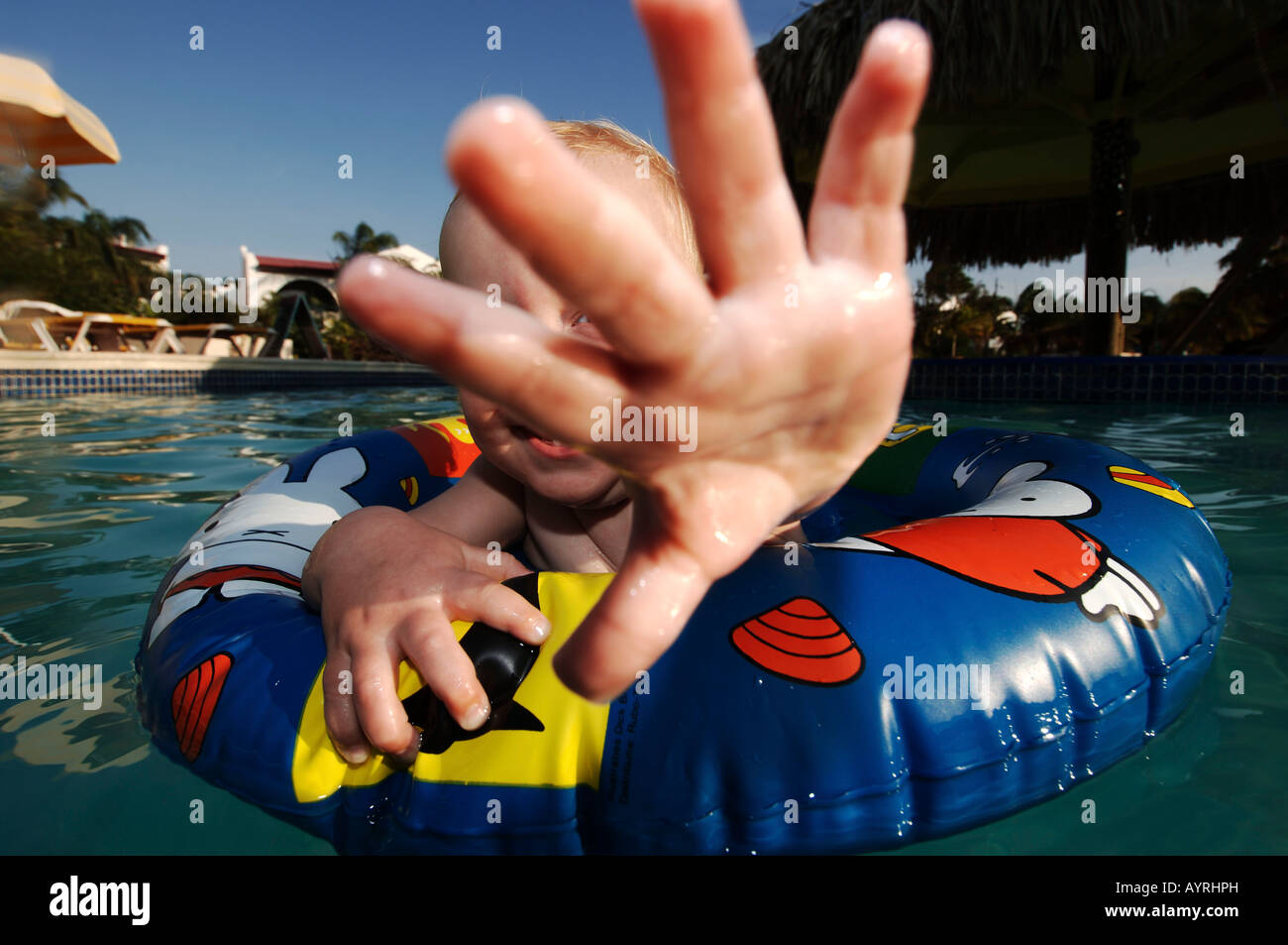 Antille Olandesi Bonaire swimmingpool del van der Valk Hotel nove mesi old boy nuoto con un anello di acqua Foto Stock