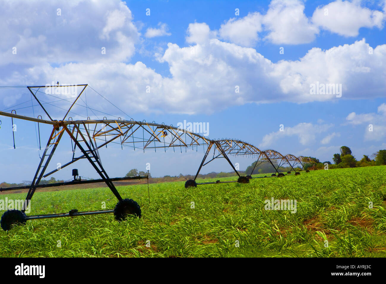 Metodo di irrigazione impiegato per grandi aree di canna da zucchero in Mauritius. Foto Stock