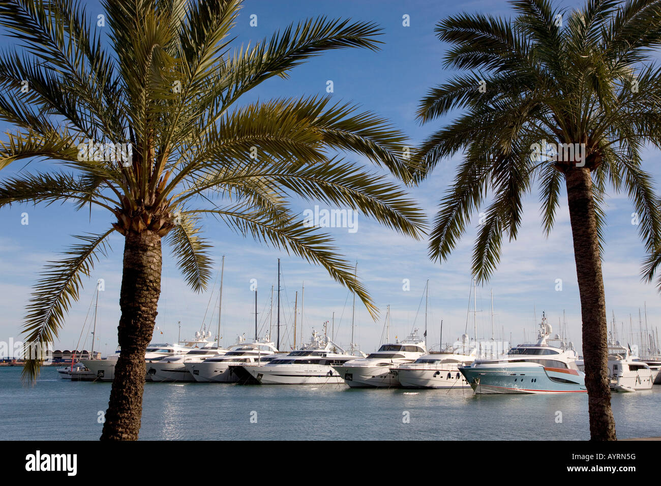 Yacht di lusso in marina a Palma di Maiorca, isole Baleari, Spagna Foto Stock