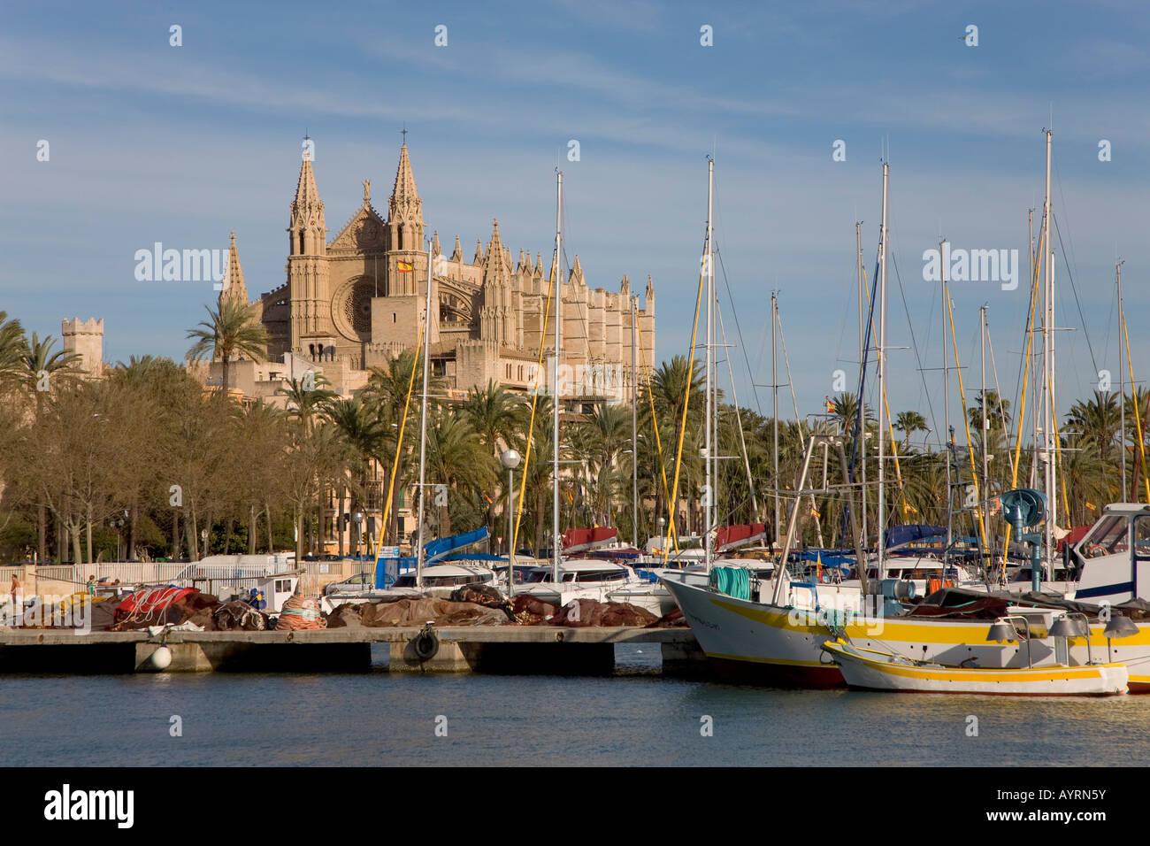 Barche da pesca in porto e La Seu Cathedral, Palma di Maiorca, isole Baleari, Spagna Foto Stock