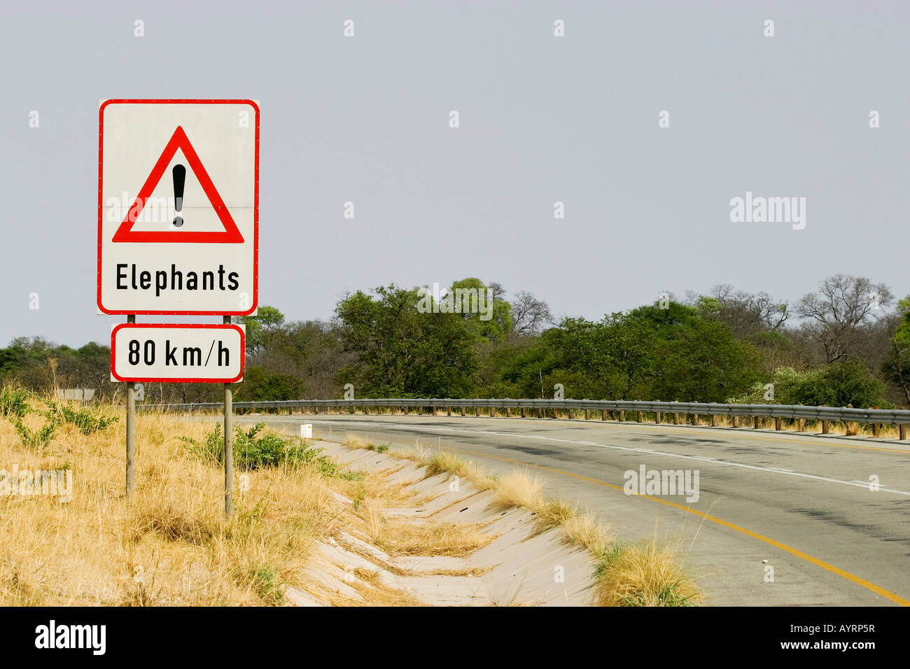 Attraversamento di elefante segno, Caprivi Strip, Namibia, Africa Foto Stock