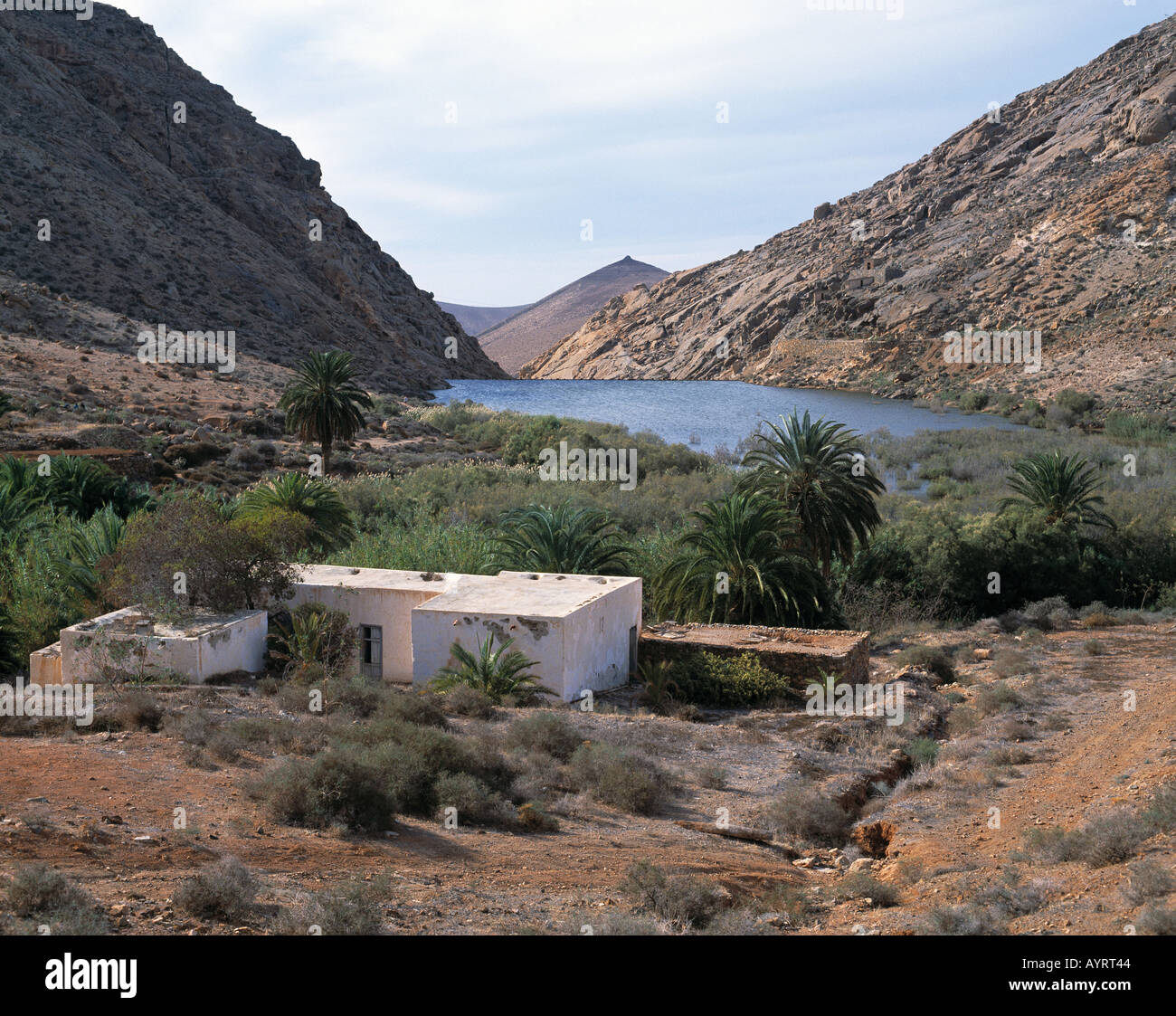 Stausee Las Penitas, Berglandschaft, Talkessel, Berghaenge kahle, Oase, Vega de Rio de Palmas, Fuerteventura, Kanarische isole Foto Stock