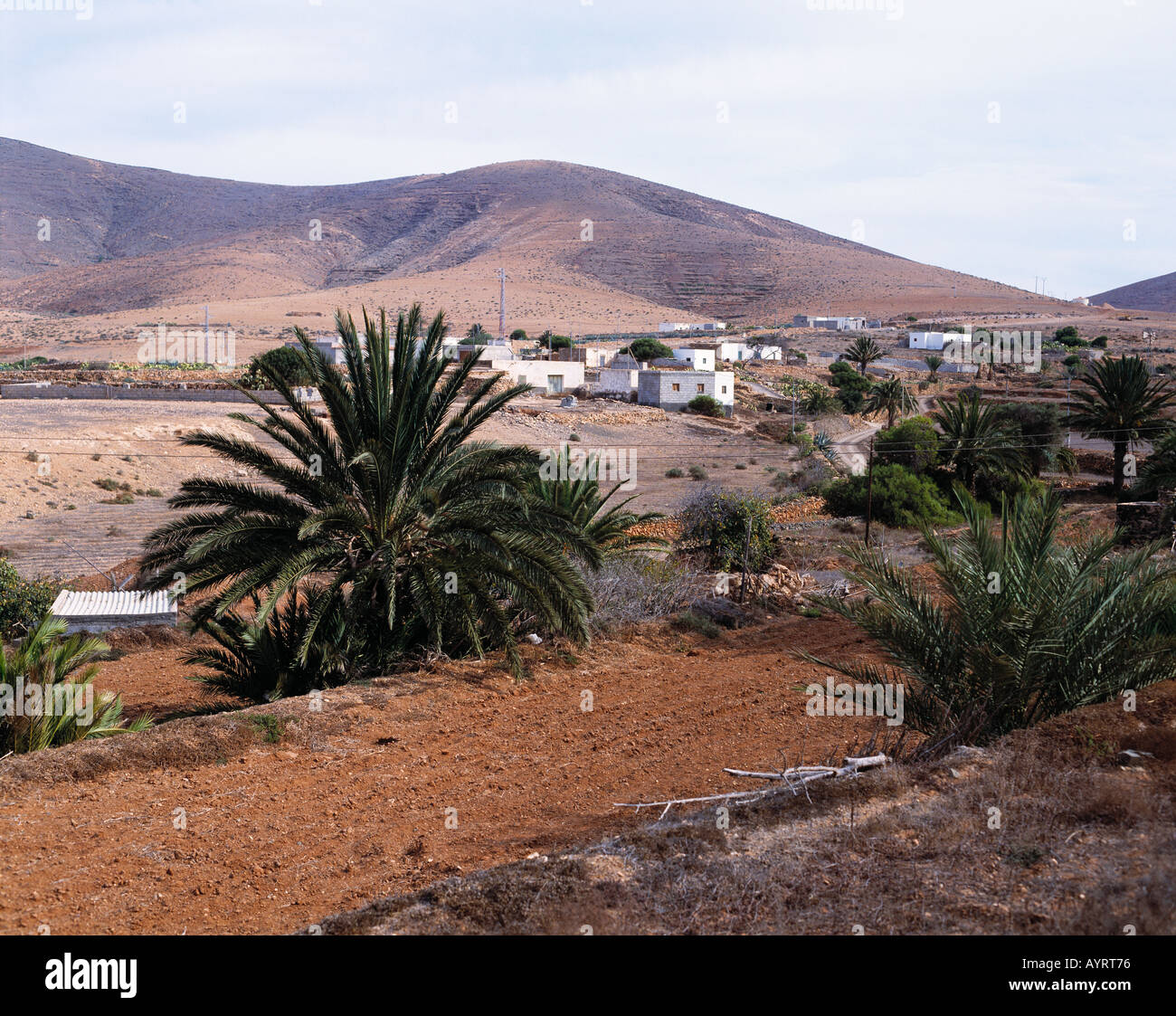 Huegelige Landschaft, Berglandschaft kahle, oasenaehnliches Tal, Offenburg, weisse Haeuser, Fuerteventura, Kanarische isole Foto Stock