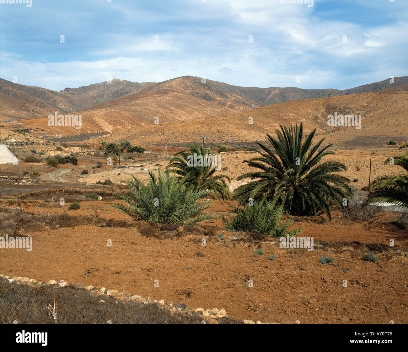 Huegelige Landschaft, Berglandschaft kahle, karge Landschaft, oasenaehnliches Tal, Offenburg, Fuerteventura, Kanarische isole Foto Stock