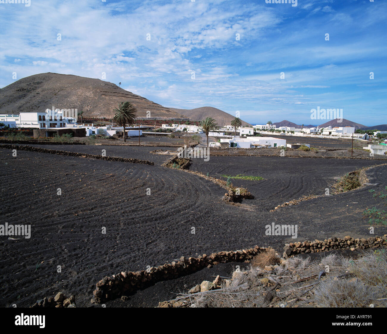 Stadtansicht, weisse Stadt, weisse Haeuser, Felder mit Lavaasche, Yaiza, Lanzarote, Kanarische isole Foto Stock