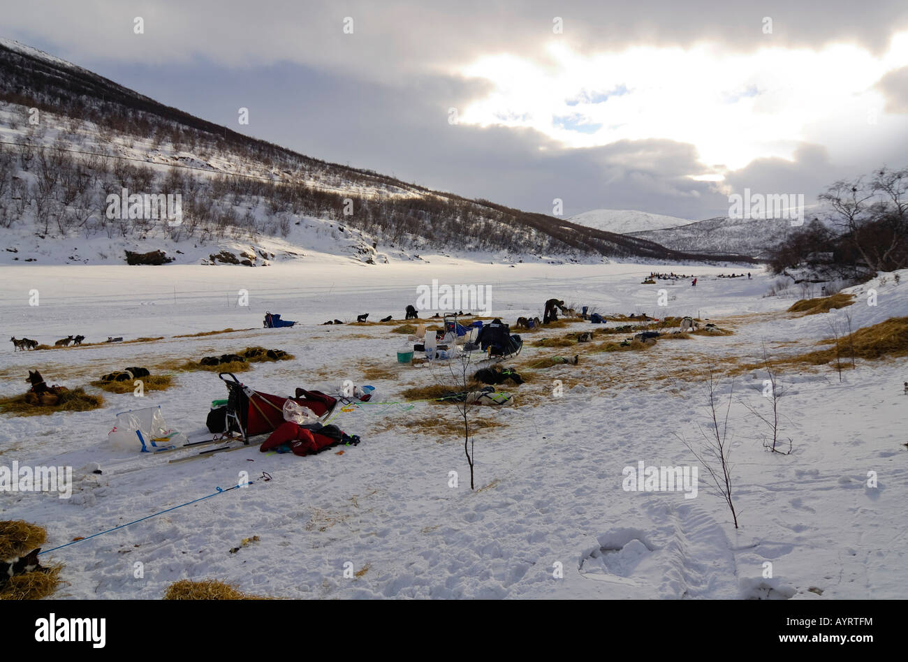Dogsled gara stazione di checkpoint, Finnmark, Norvegia e Scandinavia Foto Stock