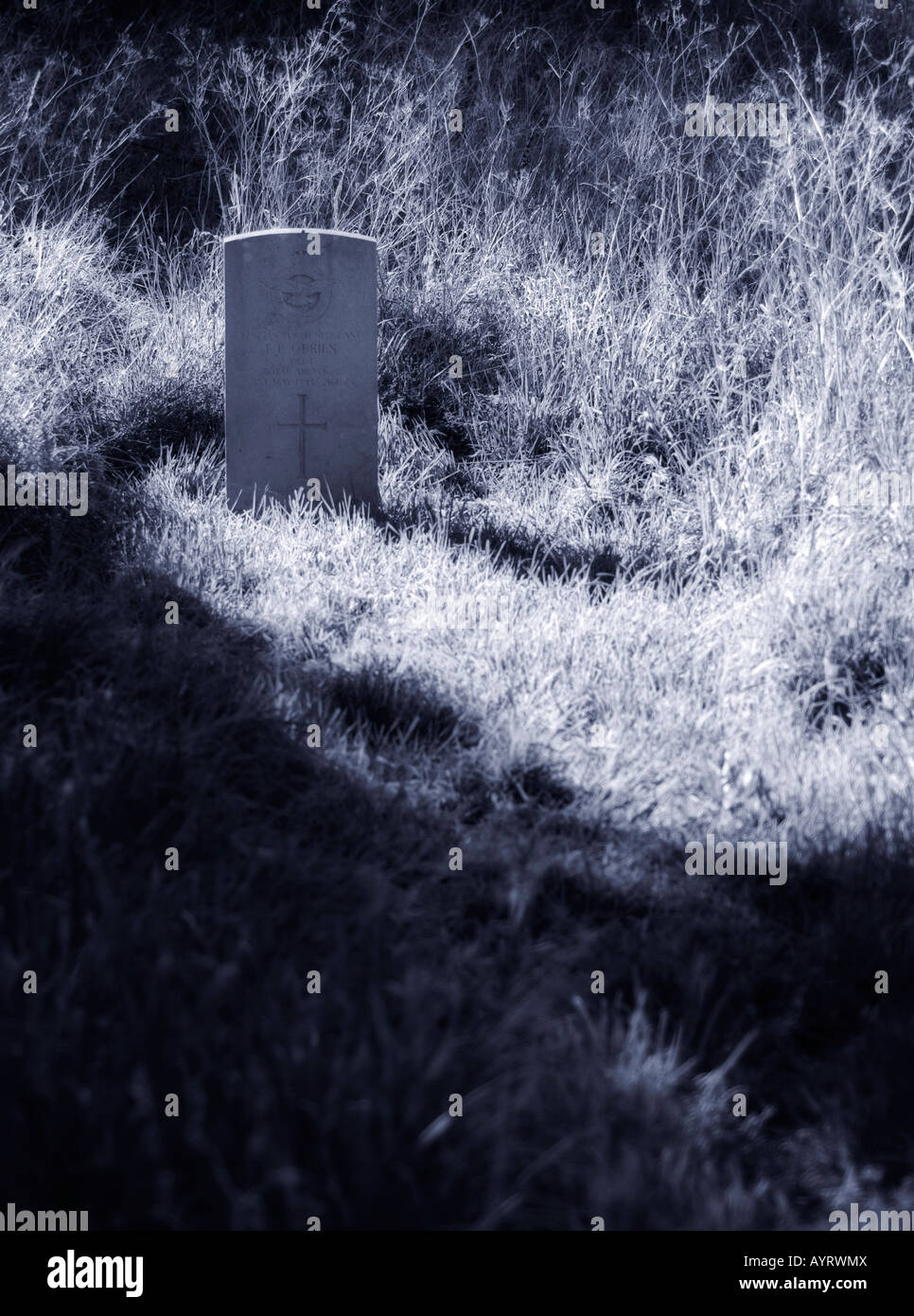 Un grave sta da solo in una soleggiata radura. Foto Stock