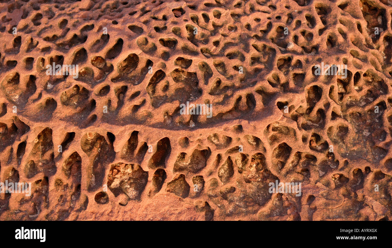 Texture di pietra arenaria di Eagle Gorge, Kalbarri National Park, Australia occidentale, Australia Foto Stock
