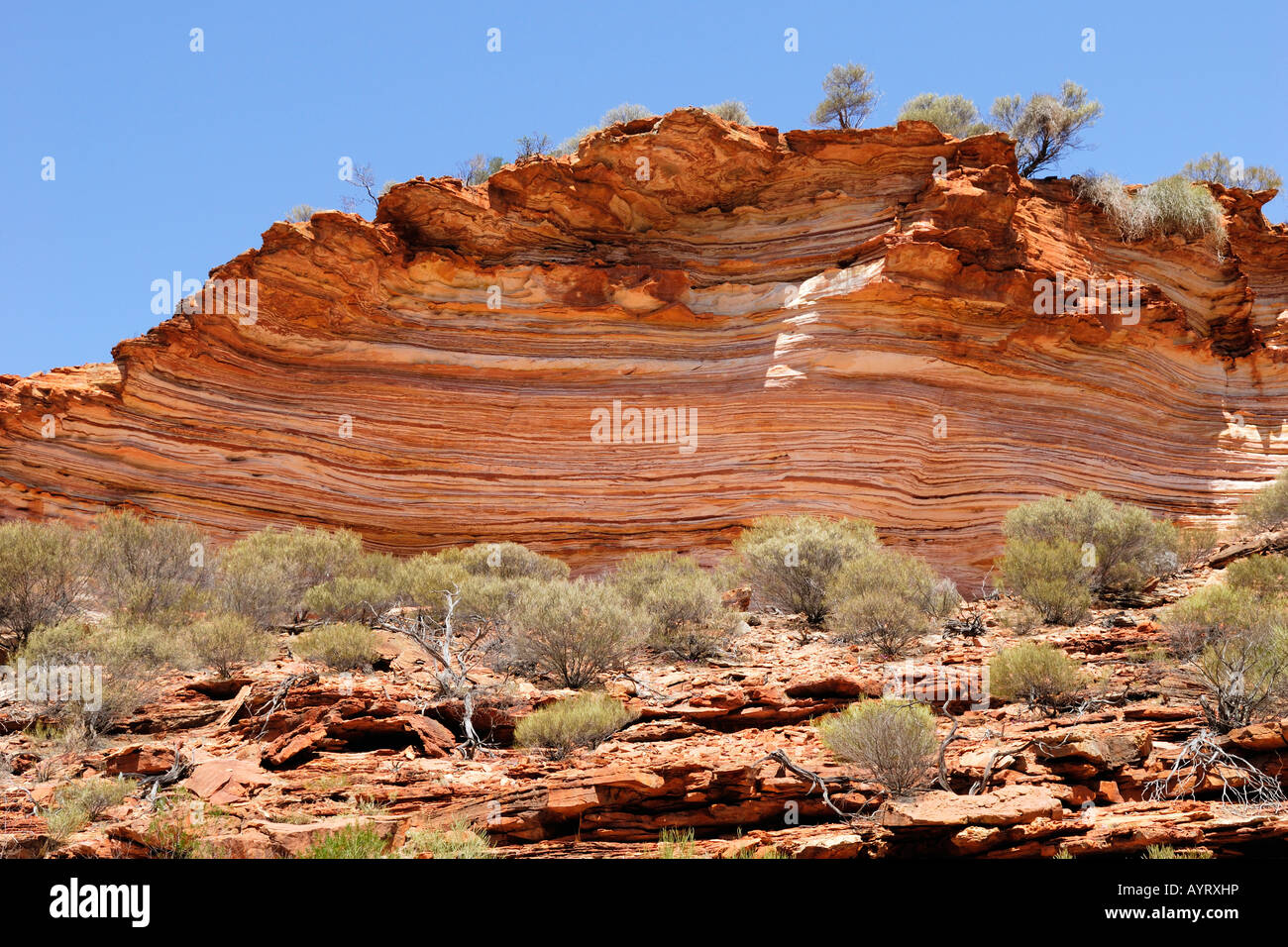 Strati di pietra arenaria sulla banca del fiume di Murchison, Kalbarri National Park, Australia occidentale, Australia Foto Stock