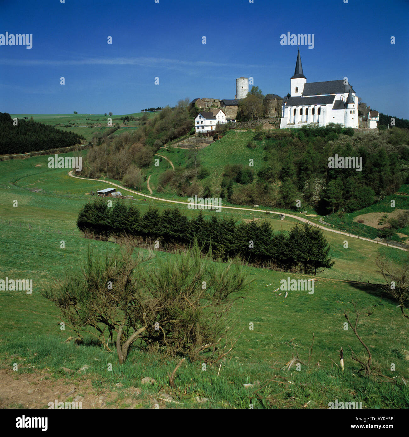 Ortsansicht von Hellenthal-Reifferscheid mit Kirche und Burgruine, huegelige Landschaft, Deutsch-Belgischer Naturpark Nordeifel, Renania settentrionale-Vestfalia Foto Stock