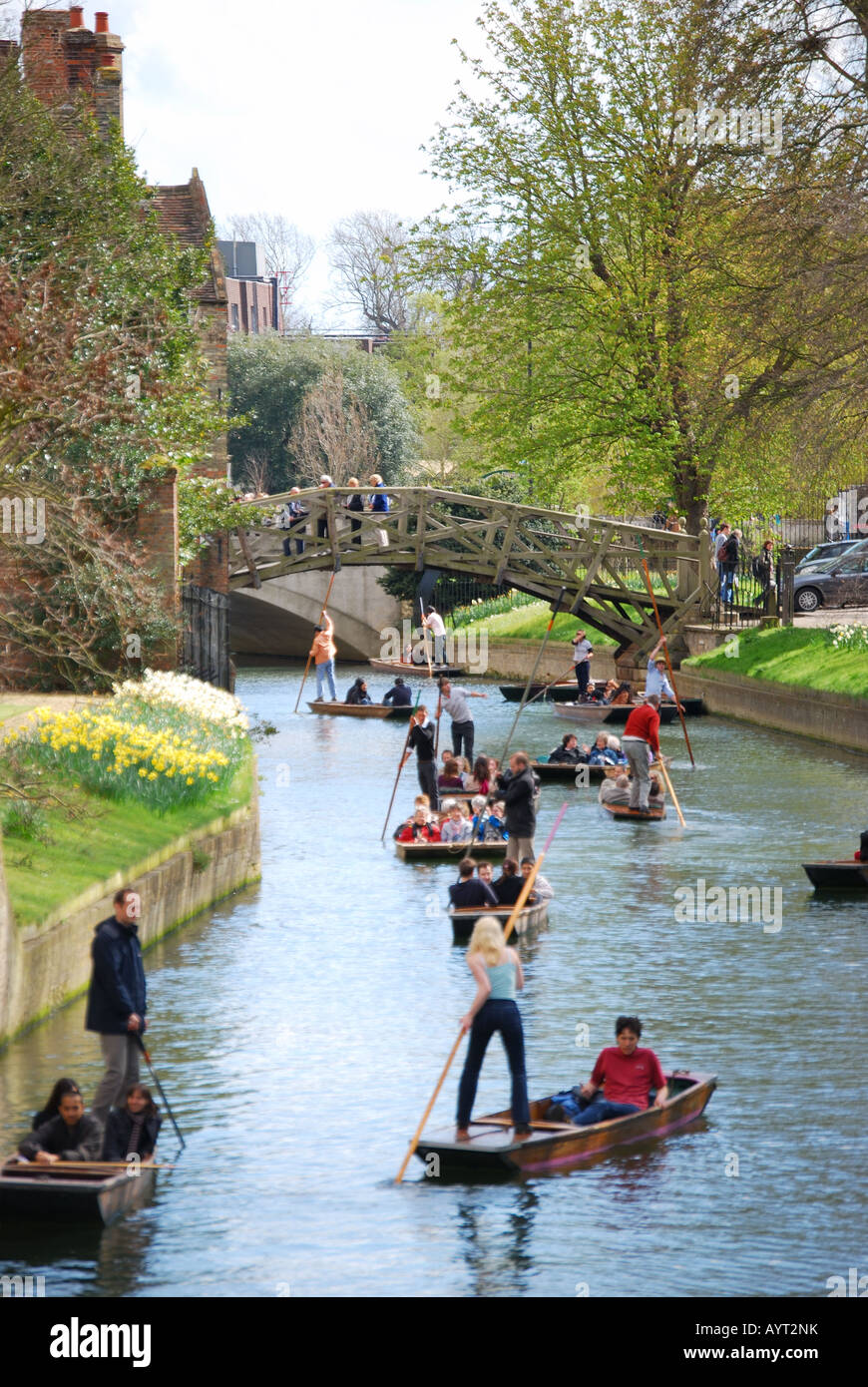 Gli studenti punting sul fiume Cam, Cambridge, Cambridgeshire, England, Regno Unito Foto Stock
