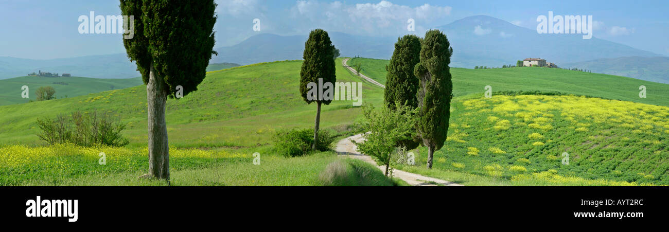 Paesaggio della Toscana con le colline di una fattoria e cipressi, Val d Orcia Toscana Italia Foto Stock