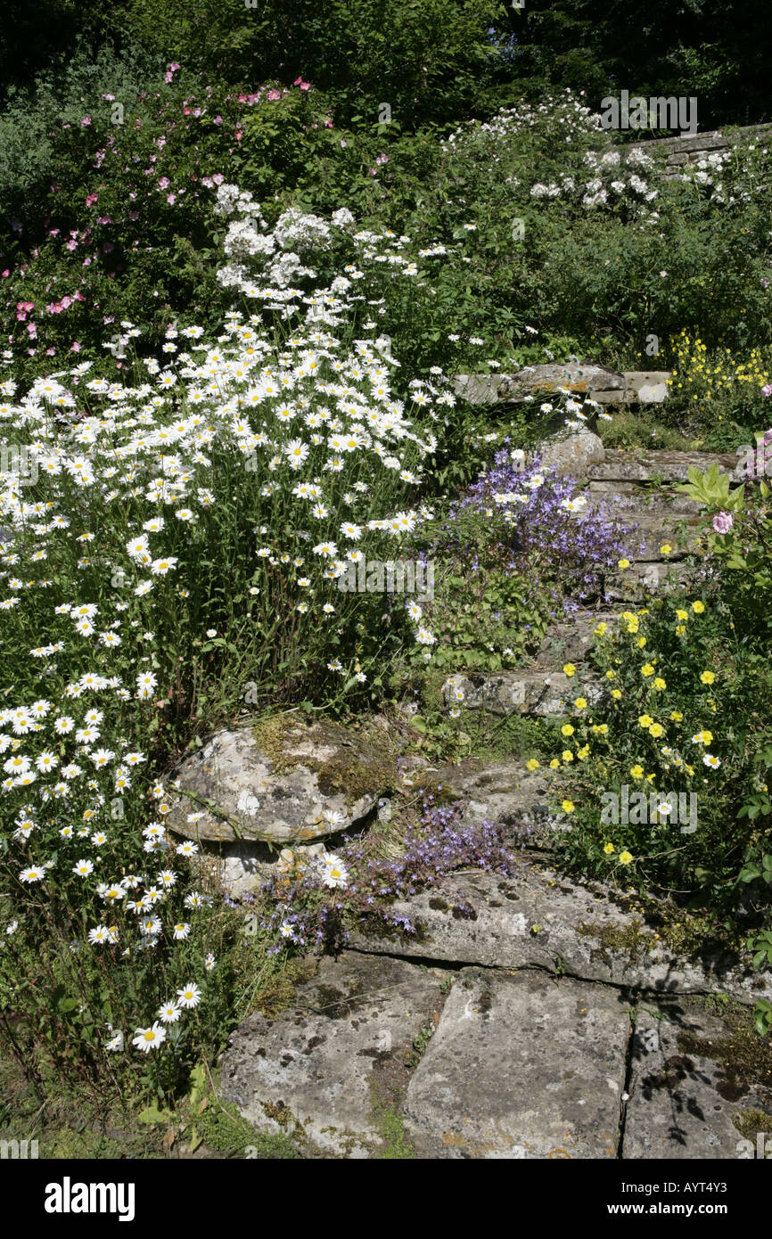 La raccolta nazionale di Rambler Roses a Moor Woodmancote legno Foto Stock