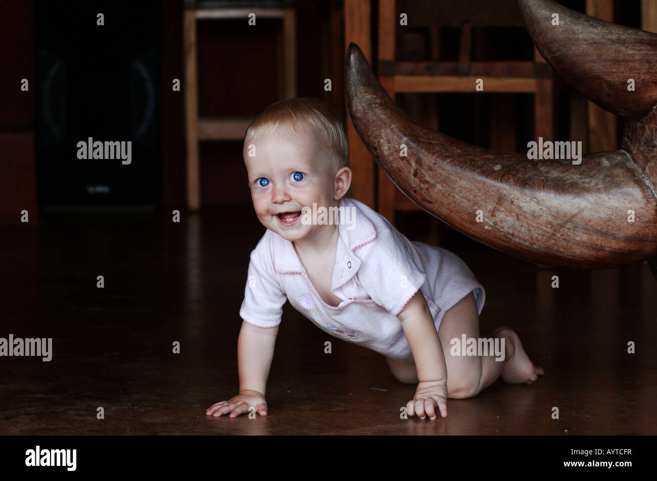 Nove mesi di età bambino accanto a un corno di rinoceronte Foto Stock