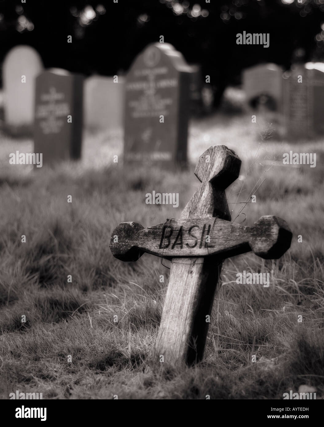 Una croce di legno in un cimitero, semplicemente contrassegnati 'Basilico". Foto Stock