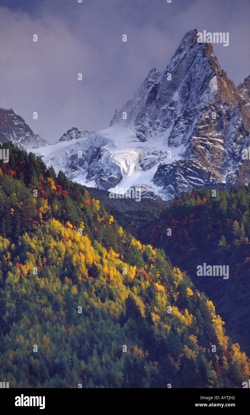 Bosco autunnale sotto le Aiguilles di Chamonix, sulle Alpi francesi, Francia. Foto Stock