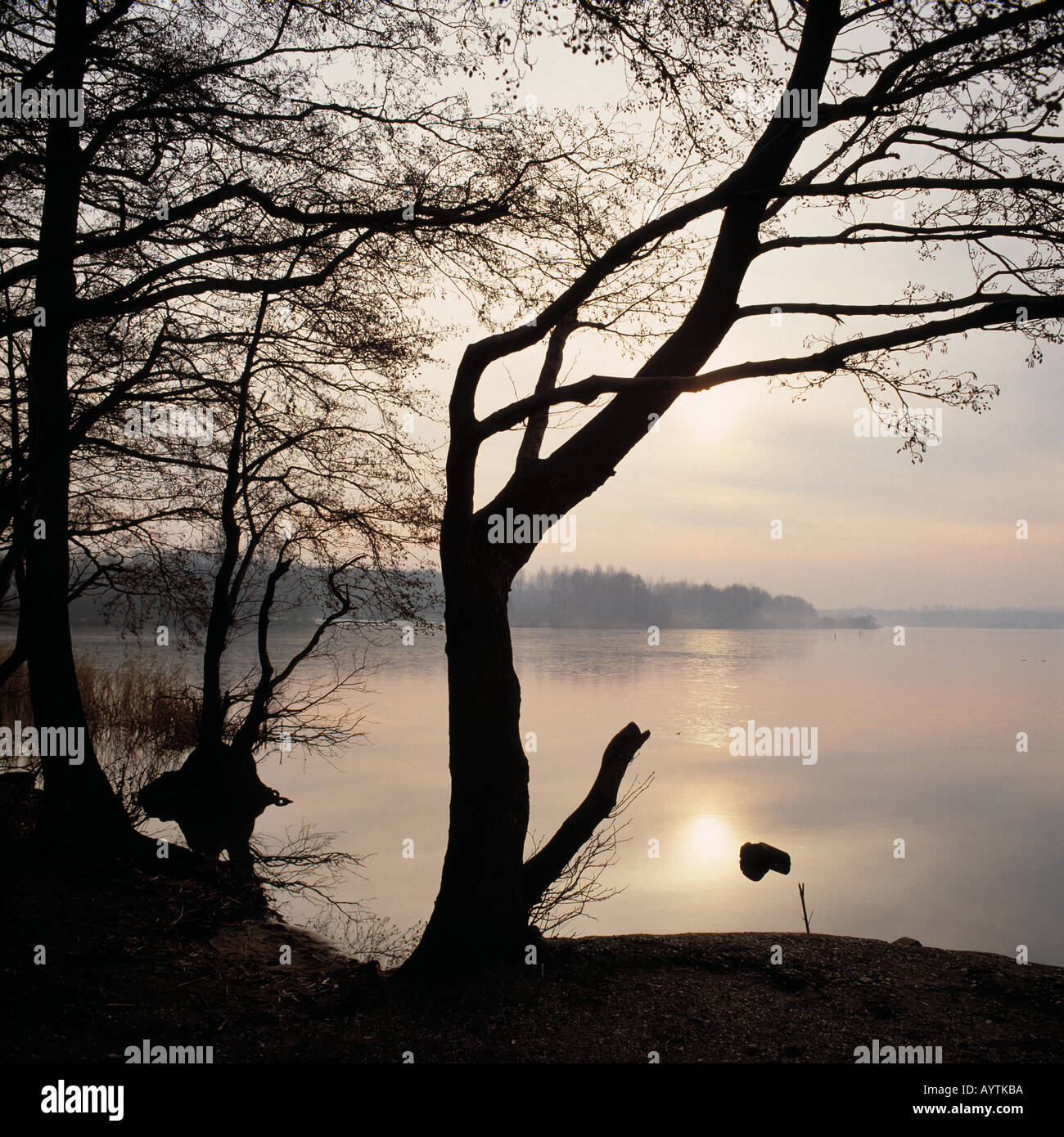 Visto Krickenbecker, Sonnenuntergang am Hinsbecker Bruch im Naturpark Maas-Schwalm-Nette im Winter, Nettetal, Niederrhein, Renania settentrionale-Vestfalia Foto Stock