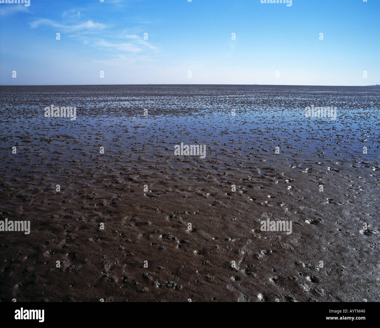 Wattenmeer bei ebbe, Duhner Watt, Cuxhaven, Seebad, Nordsee, Nationalpark Wattenmeer Niedersaechsisches, Bassa Sassonia Foto Stock