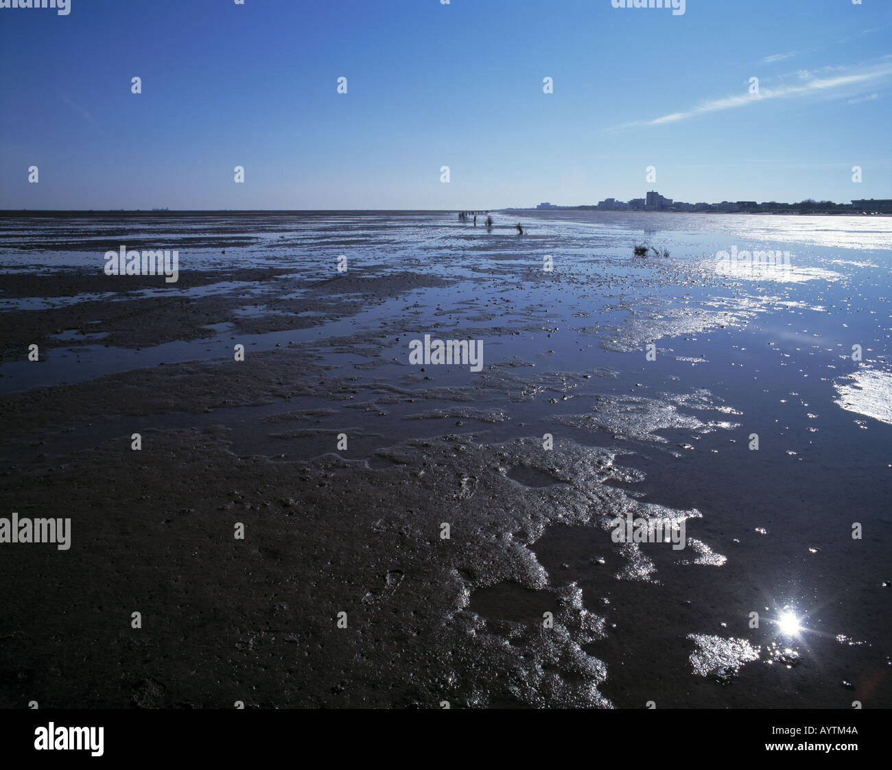 Wattenmeer bei ebbe, Duhner Watt, Cuxhaven, Seebad, Nordsee, Nationalpark Wattenmeer Niedersaechsisches, Bassa Sassonia Foto Stock