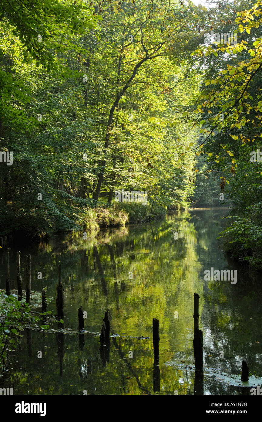 Fiume Puhlstrom situato tra Krausrick e Schlepzig nella regione Spreewald in Brandenburg Germania Foto Stock
