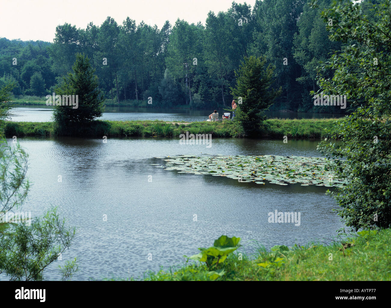 Idyllischer Badesee bei Herrenhaus Mark in Tecklenburg, Naturpark Noerdlicher Teutoburger Wald-Wiehengebirge, Renania settentrionale-Vestfalia Foto Stock