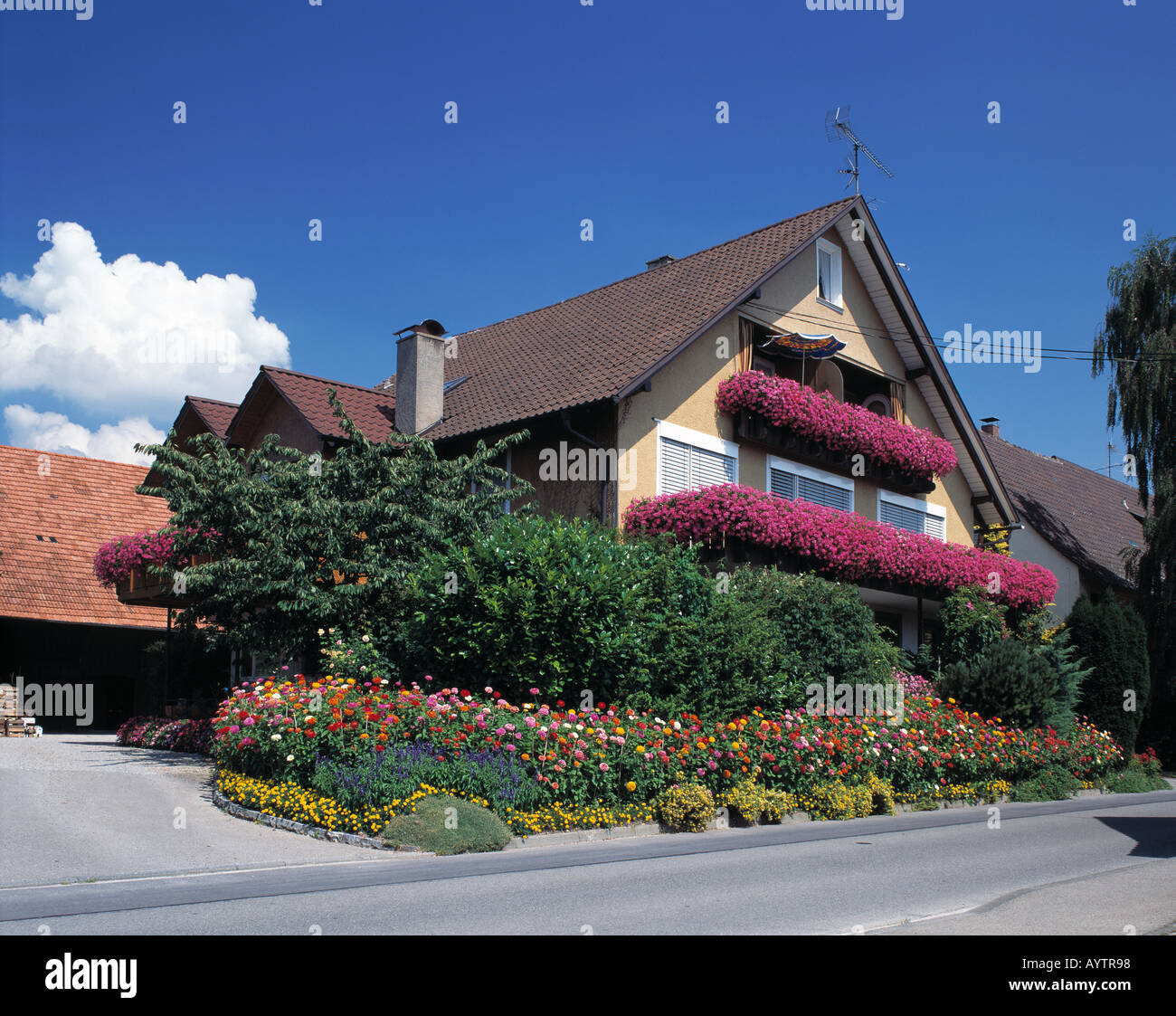 D-Kressbronn, Lago di Costanza, Baden-Wuerttemberg, casa indipendente, una casa unifamiliare, composizioni floreali, giardino frontale Foto Stock