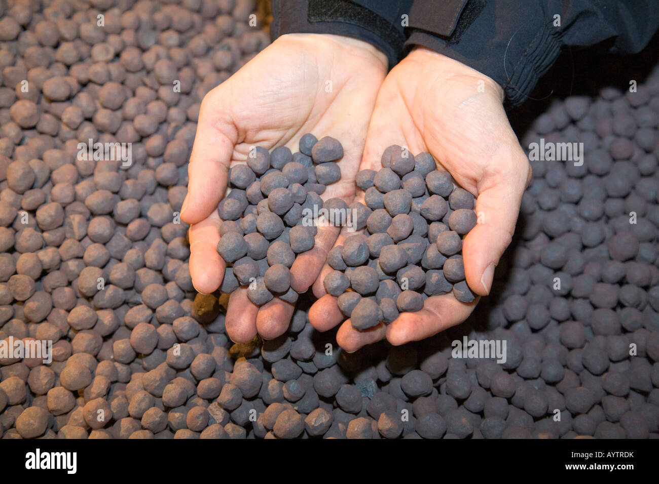 Due mani che tengono il minerale di ferro di pellet prodotti in LKAB impianti di pellettizzazione a Kiruna Foto Stock