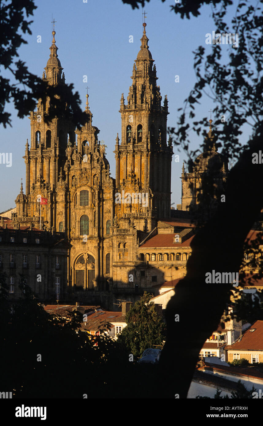 Cattedrale di Santiago de Compostela Galizia Spagna Foto Stock
