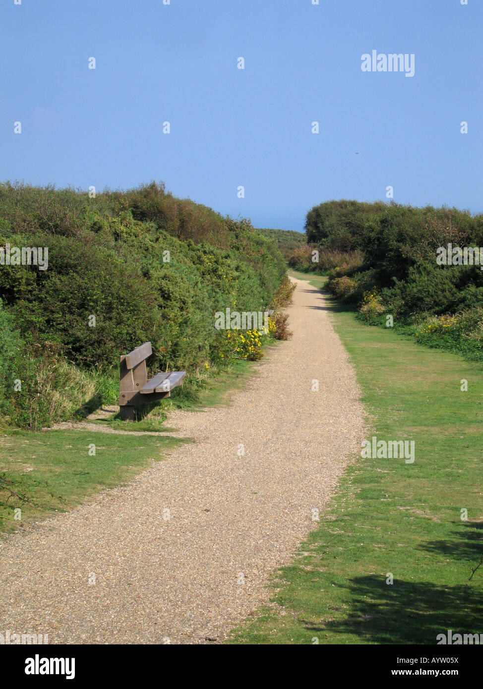 Sedile in legno accanto al percorso Hastings Country Park Hastings Sussex England Regno Unito Foto Stock