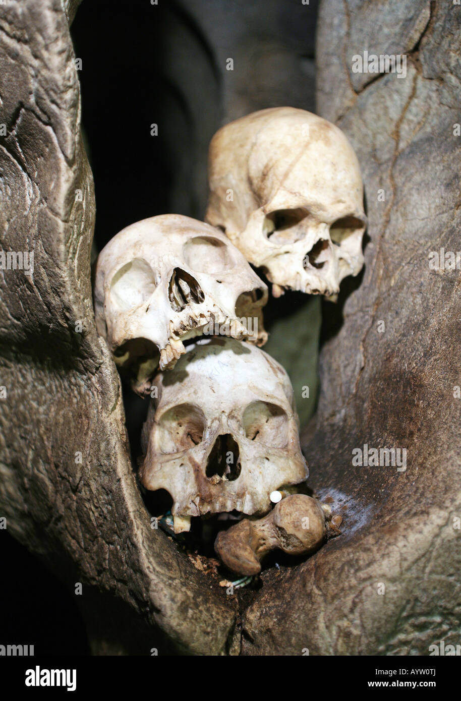 Indonesia: cranio in una camera di sepoltura delle grotte di tombe a Londa, isola di Sulawesi Foto Stock